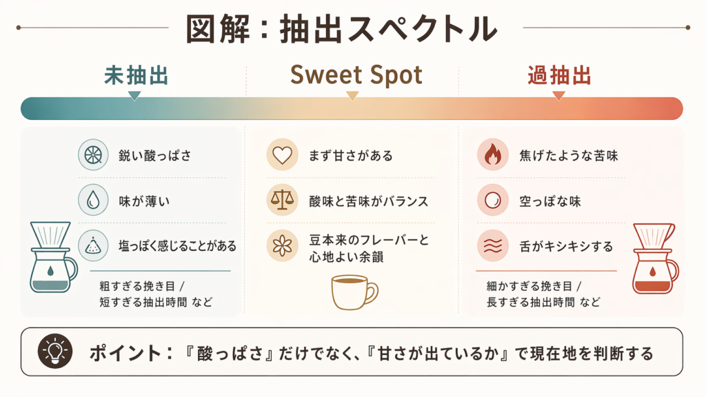 コーヒー抽出の科学|「酸っぱい・苦い」をなくす基礎理論