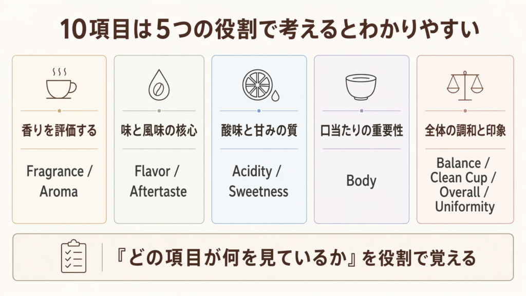 SCAカッピングの10項目を5つの役割にまとめて理解しやすくした図