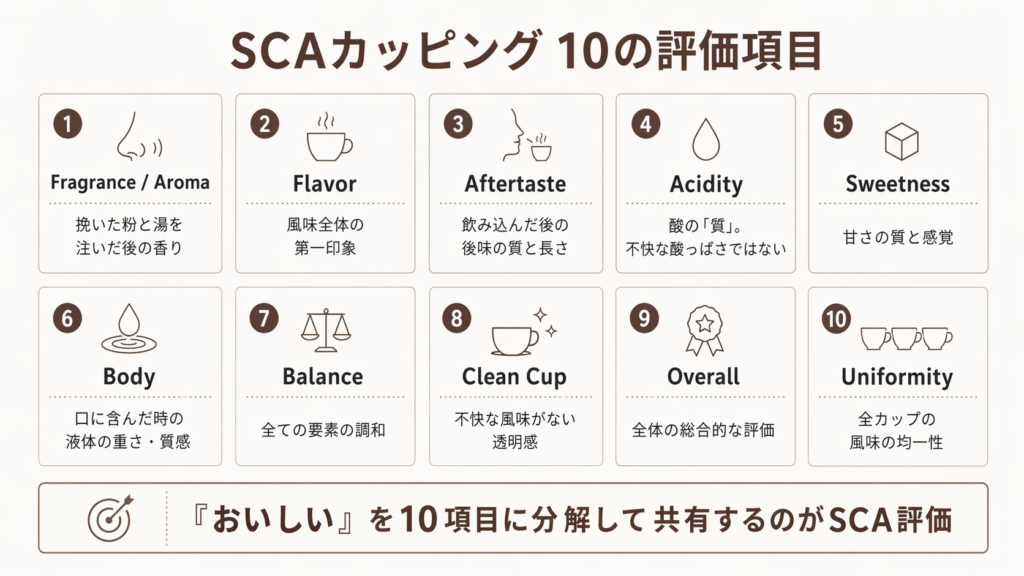 SCAカッピングの10評価項目と、それぞれの意味を一覧で示した図