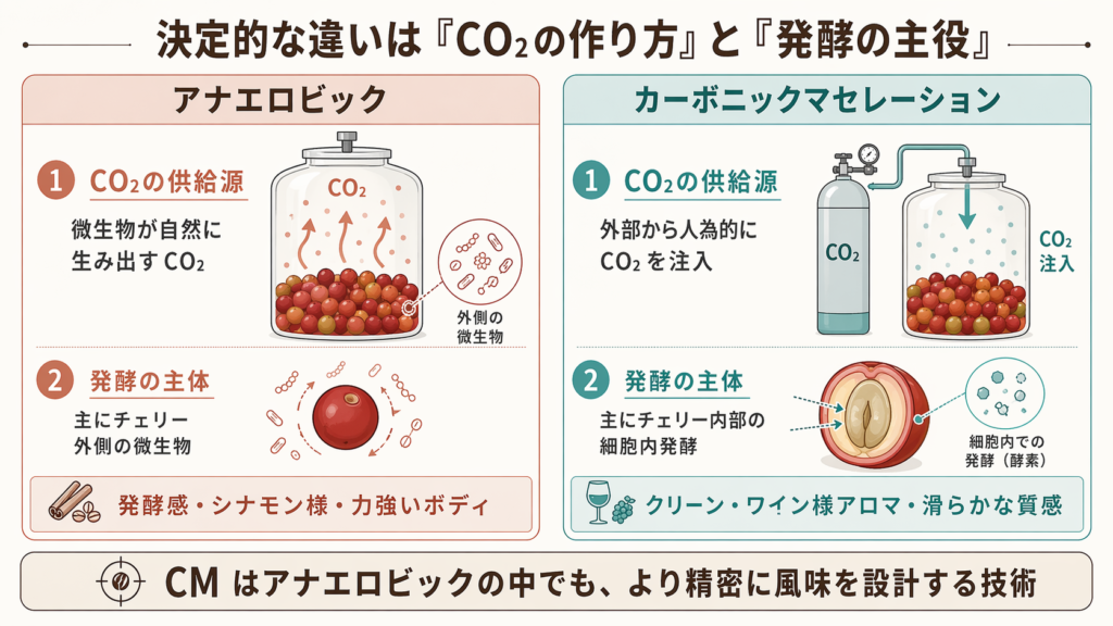 アナエロビックとカーボニックマセレーションの違いを、CO₂ の供給源と発酵の主体で比較した図