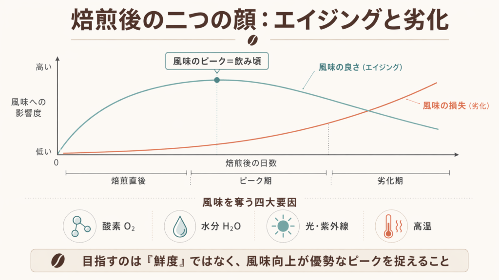 焙煎後のコーヒー豆でエイジングと劣化が同時進行し、飲み頃のピークが生まれることを示した図