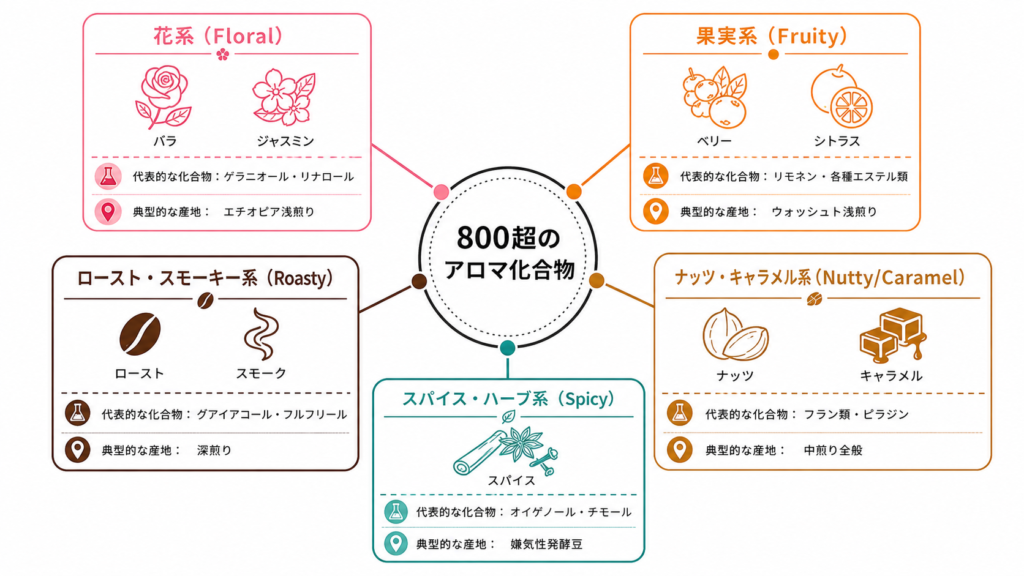 コーヒーアロマを構成する800超の化学物質を花系・果実系・ナッツ系・ロースト系・スパイス系の5グループに分類した図
