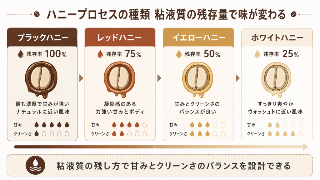 ブラック、レッド、イエロー、ホワイトハニーの残存率と味の違いを比較した図