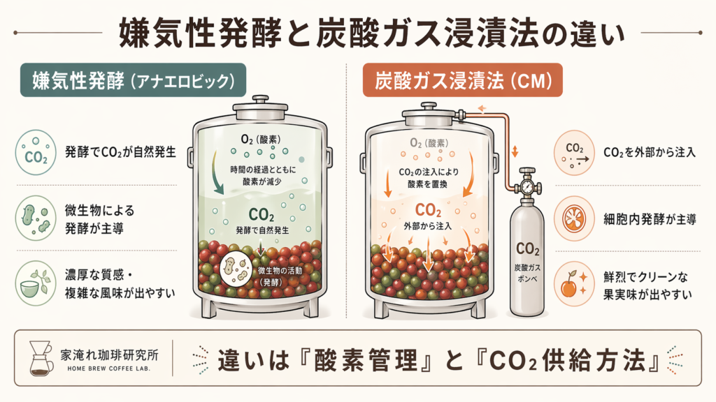 嫌気性発酵は自然発生CO₂、炭酸ガス浸漬法は外部注入CO₂で無酸素環境を作る違いを示した図