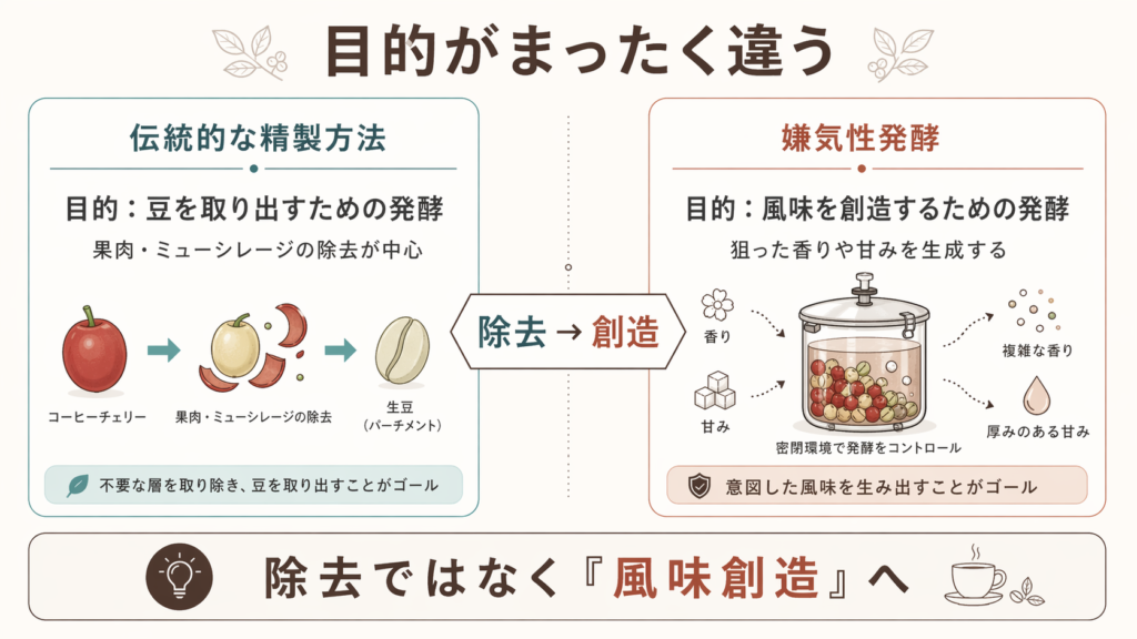 従来の精製は豆を取り出すため、嫌気性発酵は風味を創造するための発酵であることを示した図