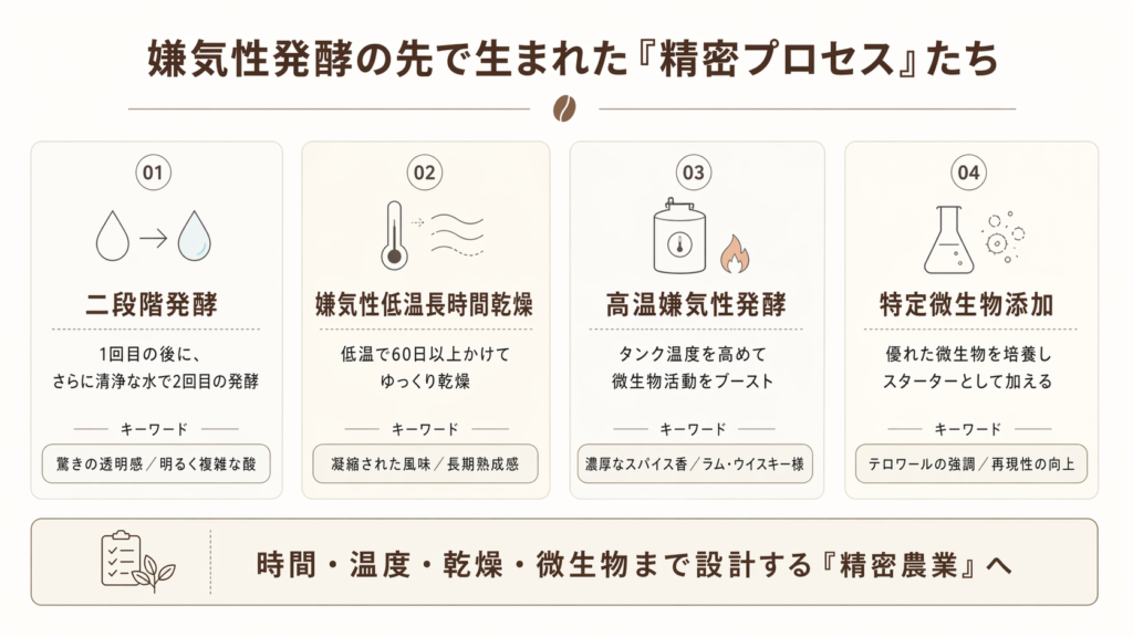 二段階発酵、低温長時間乾燥、高温嫌気性発酵、特定微生物添加の4つの精密プロセスをまとめた図