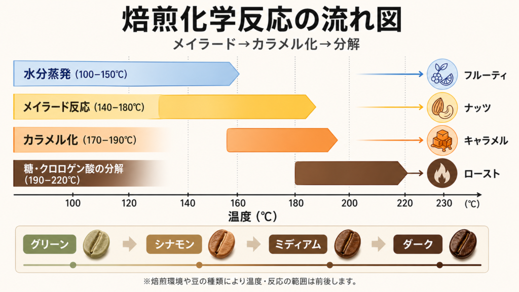 コーヒー焙煎中のメイラード反応・カラメル化・糖分解の温度と反応の流れを示した図