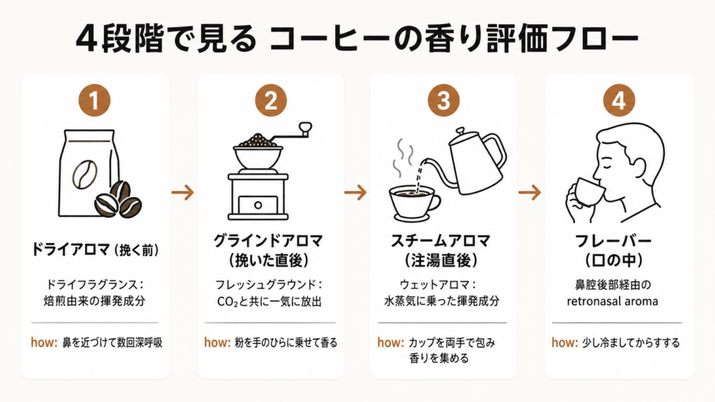 コーヒーのアロマを挽く前・挽いた後・注湯直後・口の中の4フェーズで評価する実践ガイド図