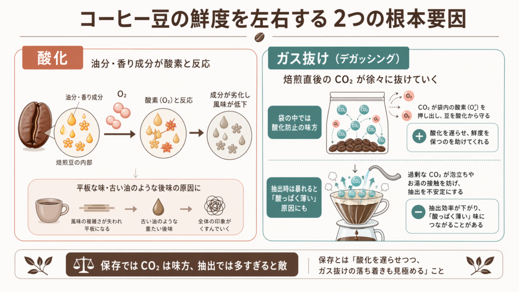 コーヒー豆の鮮度低下が酸化とガス抜けの2つで進むことを示した図