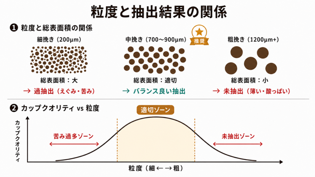 コーヒーの挽き目が細いほど総表面積が増えて過抽出、粗いほど未抽出になる表面積と流速の物理学的仕組みを示した図