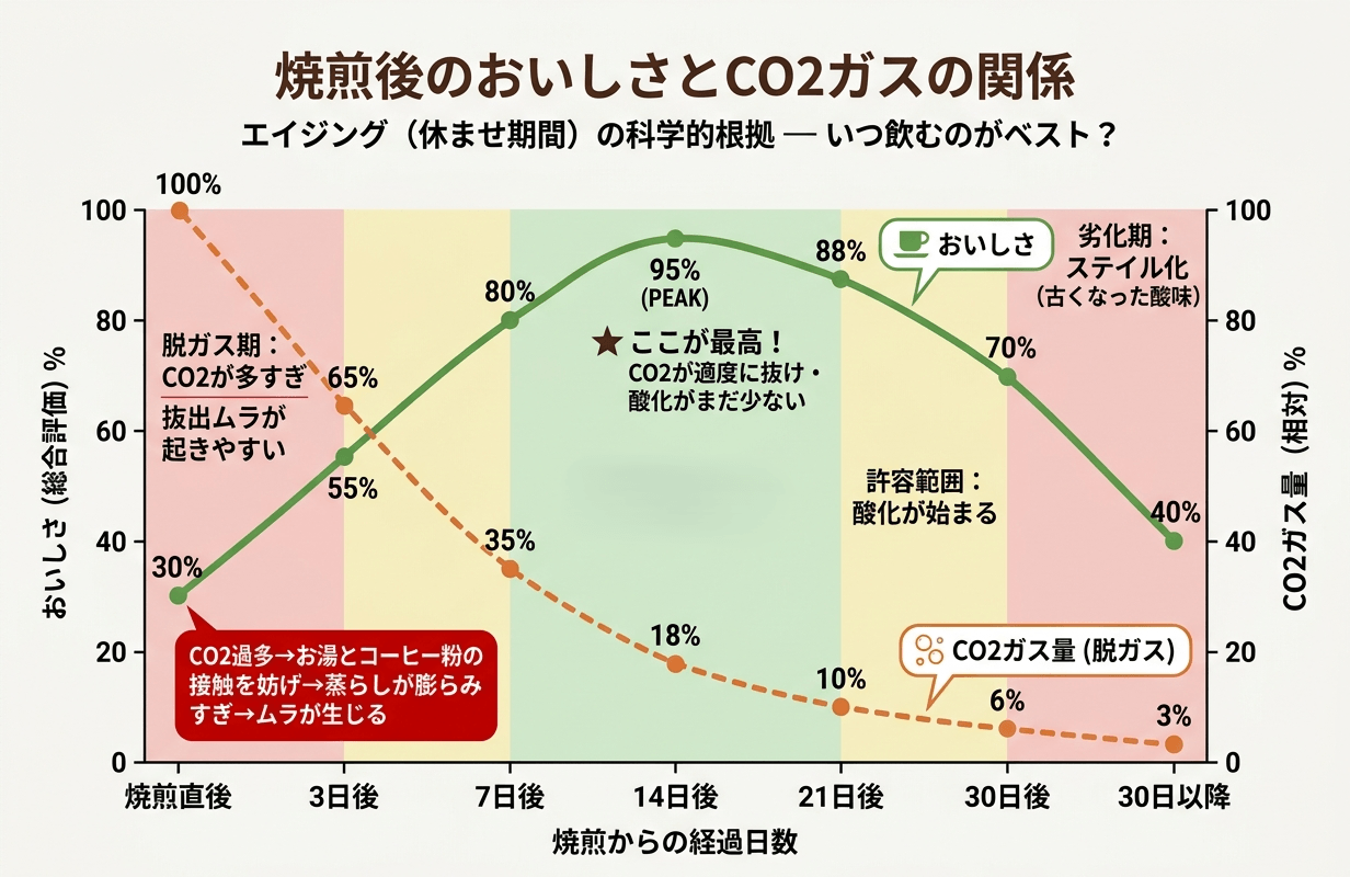 焙煎後の鮮度とCO2ガスの関係グラフ