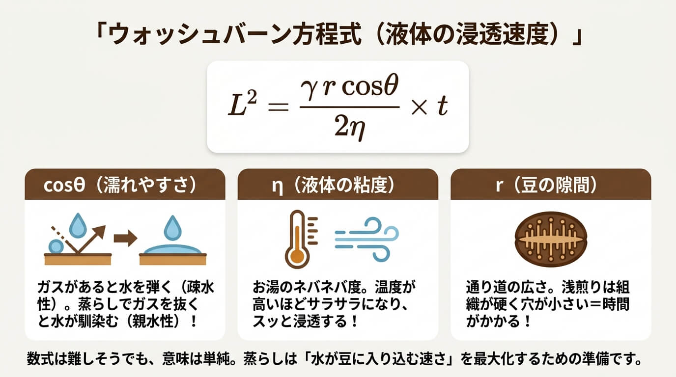 ウォッシュバーン方程式と蒸らし時間の関係