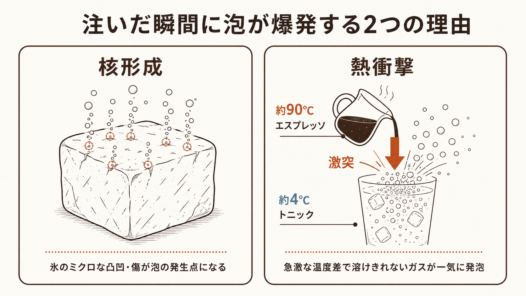 注いだ瞬間に泡が爆発する仕組み(核形成と熱衝撃)
