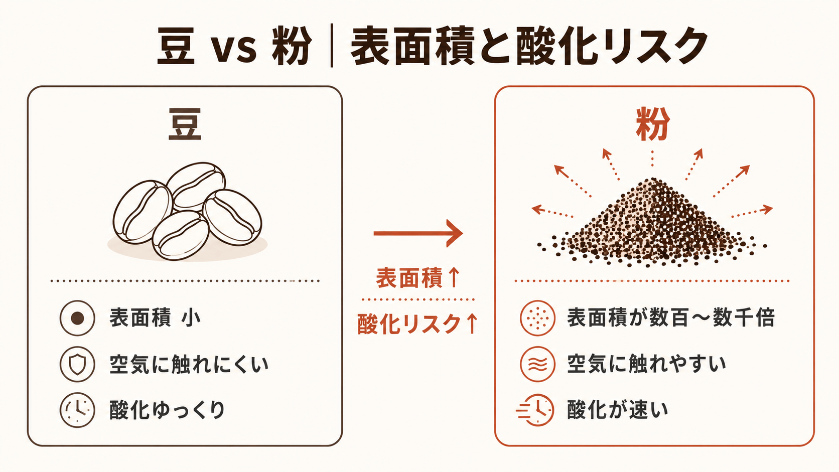 豆と粉の表面積と酸化リスクの比較