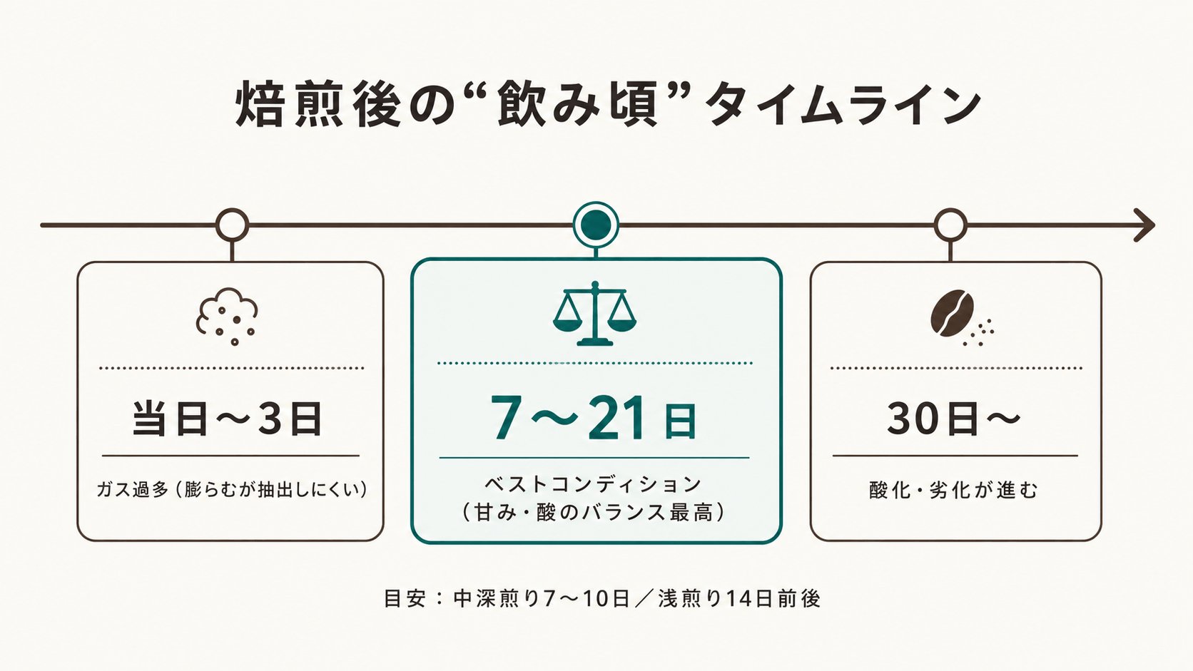 焙煎後の飲み頃タイムライン(当日〜3日/7〜21日/30日〜)