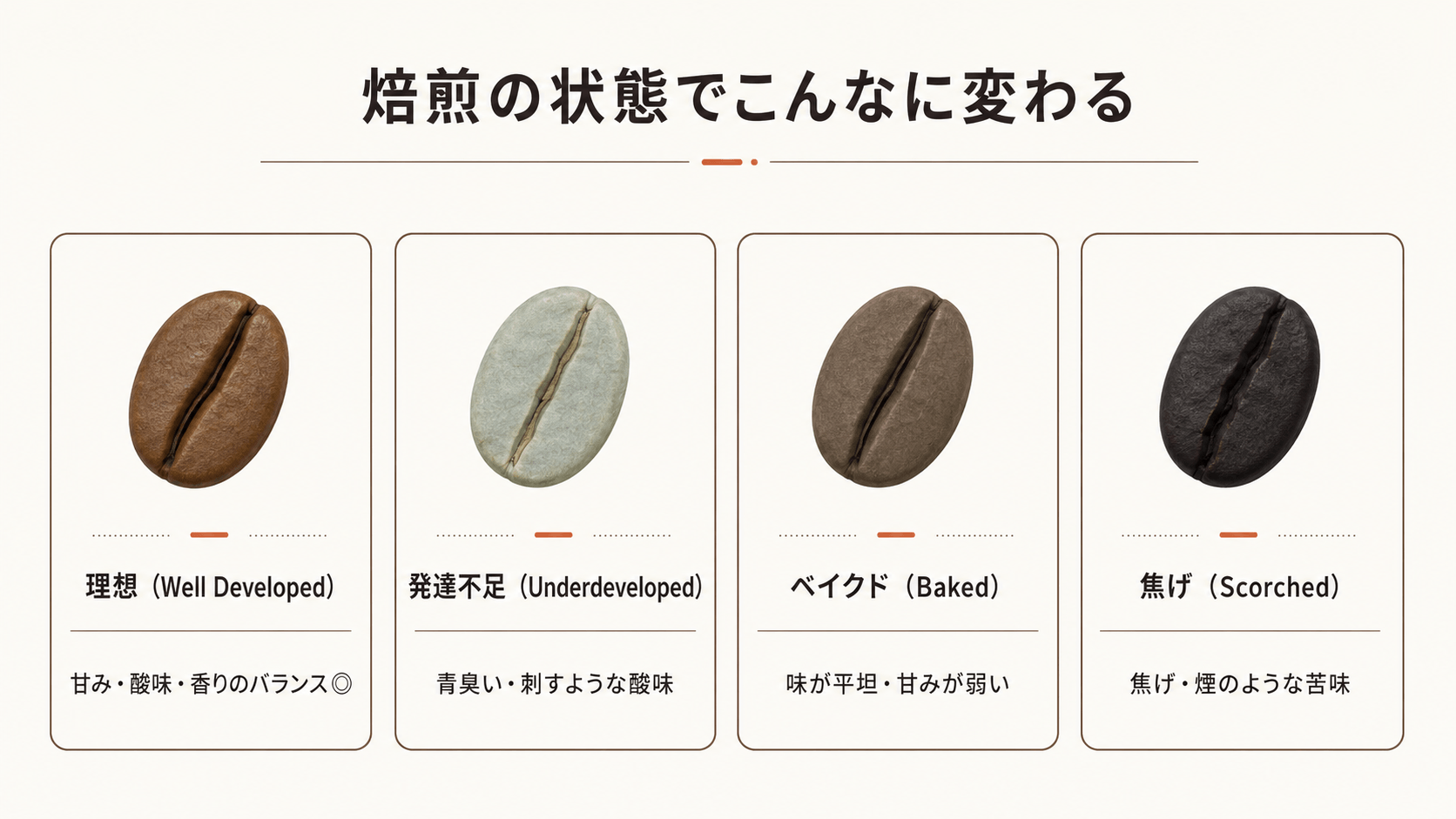 焙煎状態による味の違い(理想・発達不足・ベイクド・焦げ)