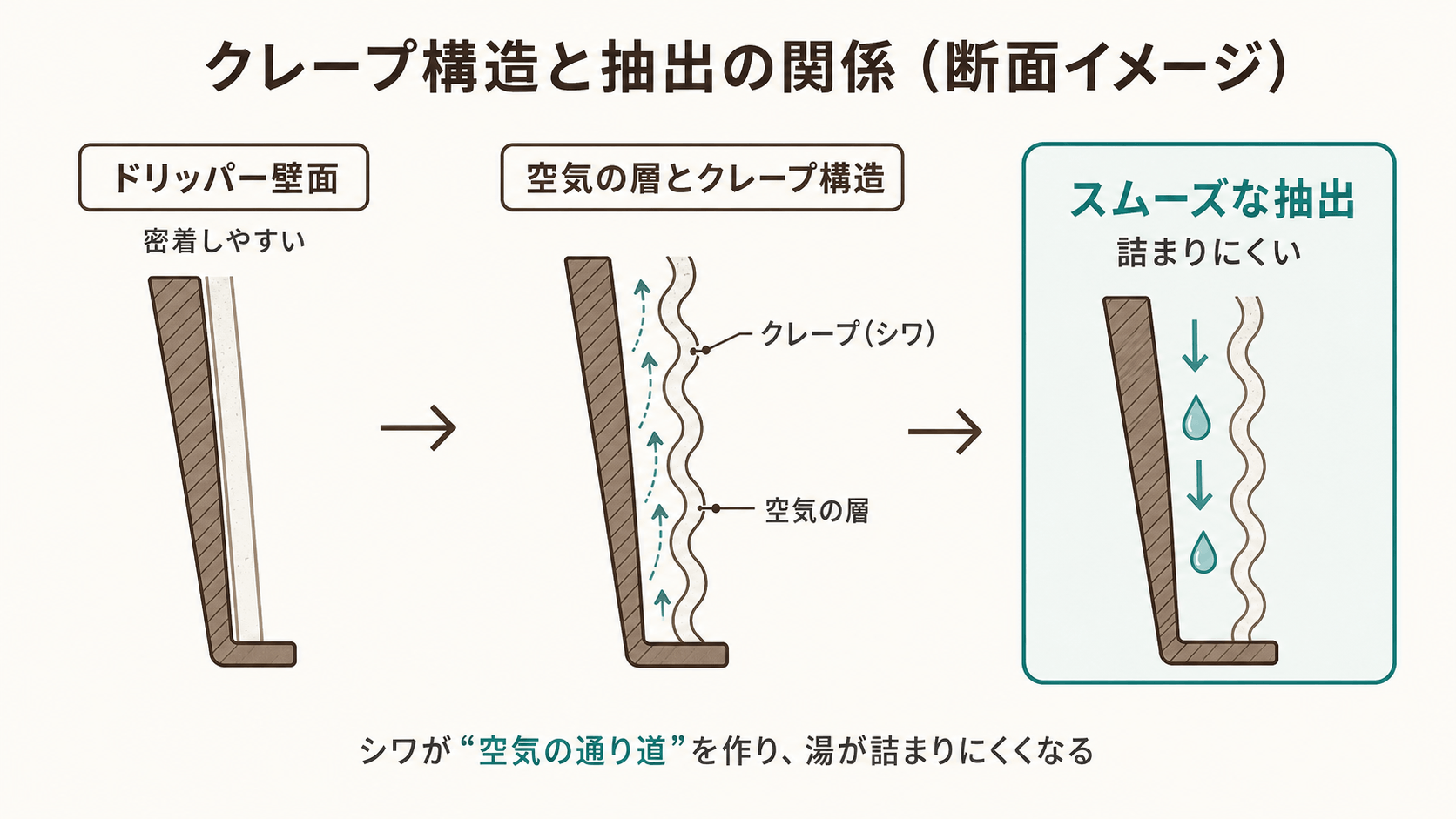 ペーパーフィルターのクレープ構造と抽出の関係(断面イメージ)