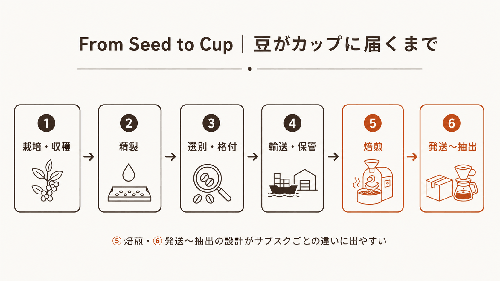 コーヒーが豆からカップに届くまでの6ステップ図