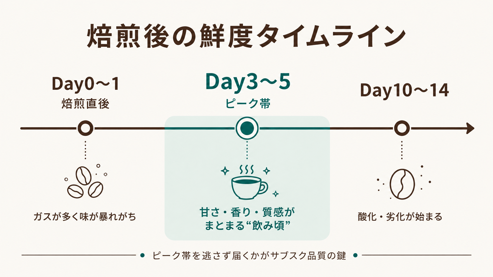 焙煎後の鮮度タイムライン（Day0-1焙煎直後・Day3-5ピーク帯・Day10-14劣化）